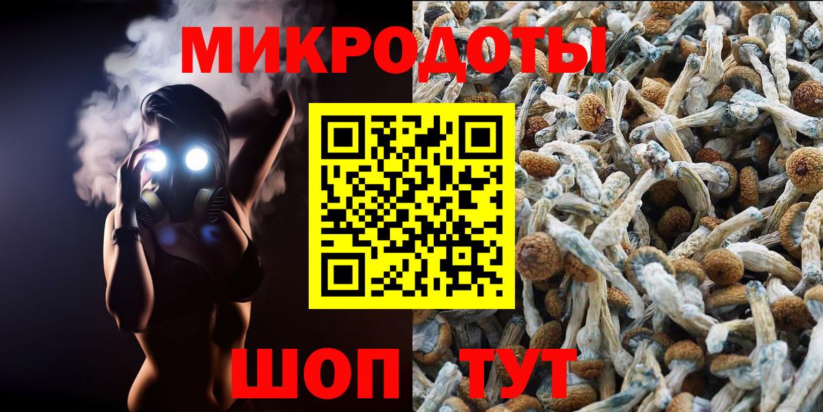 Галлюциногенные грибы Psilocybe  Вход с VPN  Ачинск 